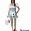 Miss Dorothy Teen Costume