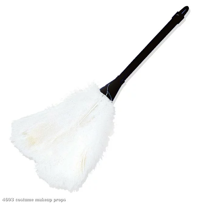 Feather Duster 1 Feather Duster