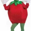 Strawberry Adult Costume