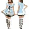 Fairy Tale Alice Adult Costume