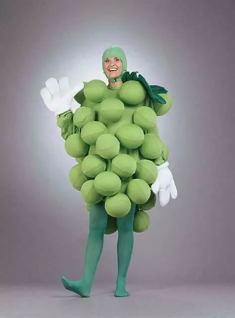 Green Grapes Adult Costume 1 Green Grapes Adult Costume